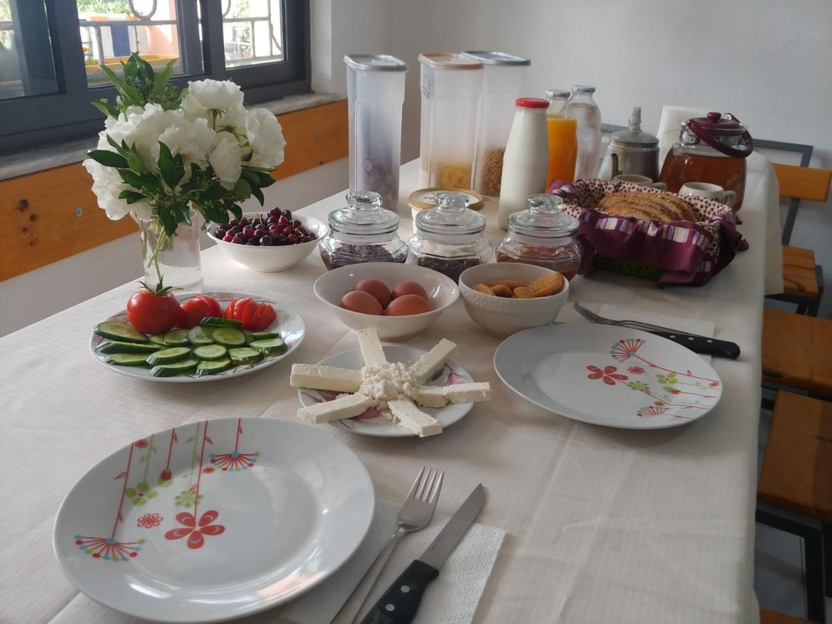 Green Garden Guesthouse Shkoder Ngoại thất bức ảnh