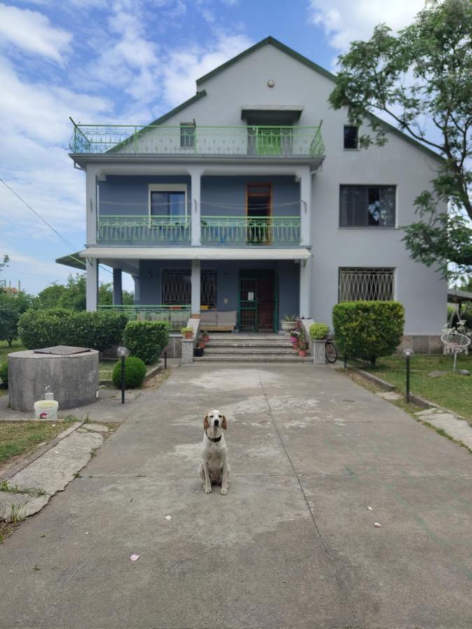 Green Garden Guesthouse Shkoder Ngoại thất bức ảnh