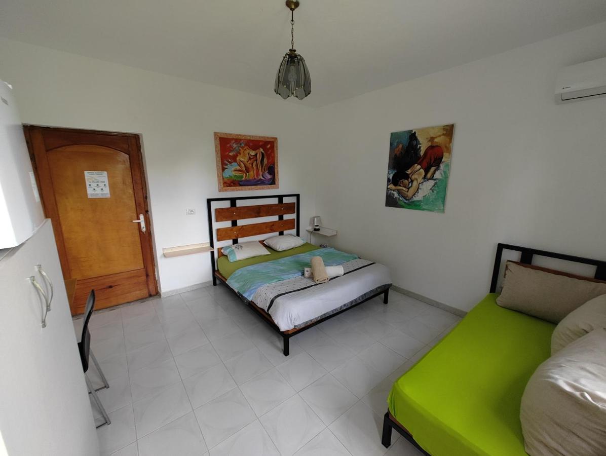 Green Garden Guesthouse Shkoder Ngoại thất bức ảnh