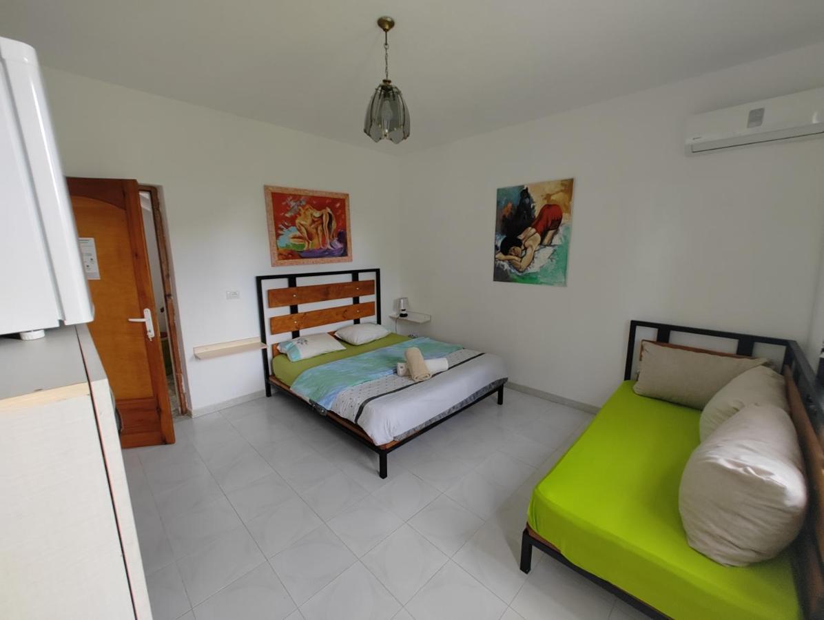 Green Garden Guesthouse Shkoder Ngoại thất bức ảnh